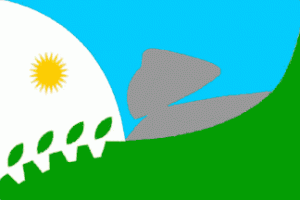 bandera de tandil